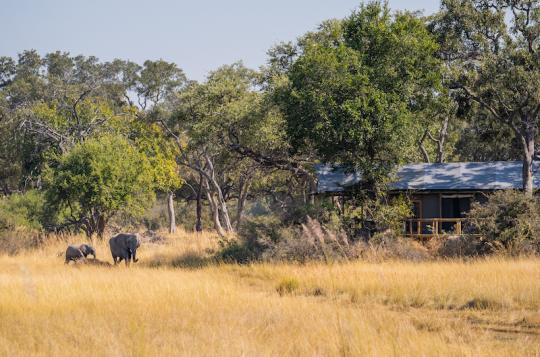 4 Rivers - Gondwana Safari Tour Operators